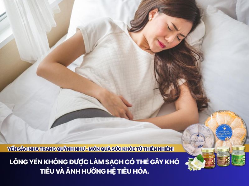 Nhặt lông yến không sạch gây hệ quả 