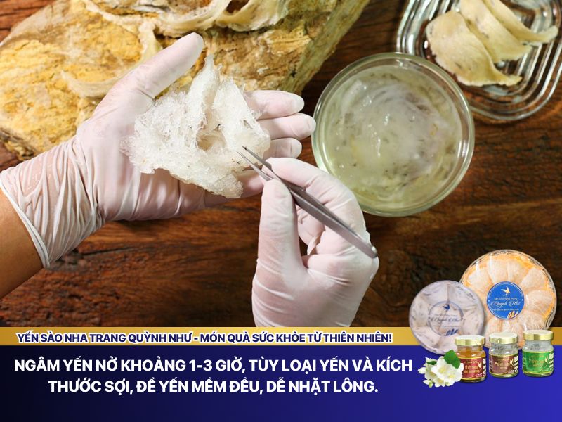 Mẹo làm sạch lông yến 