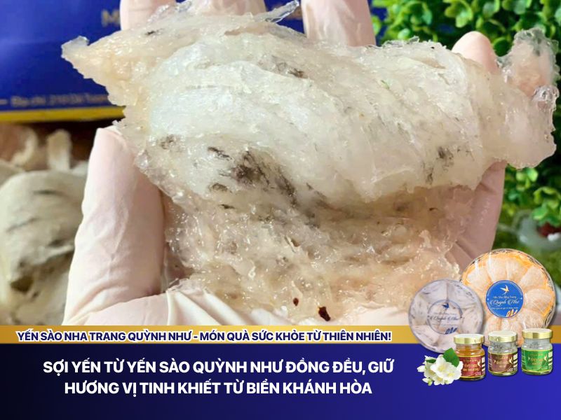 Tổ yến Quỳnh Như 