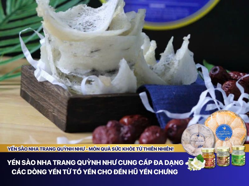Các dòng sản phẩm yến sào Quỳnh Như 