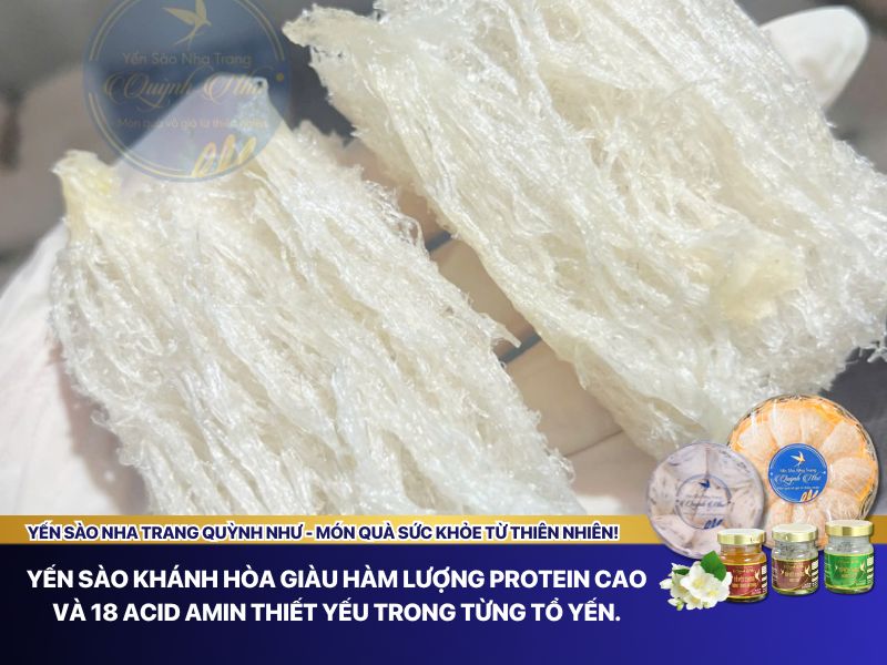 giá trị dinh dưỡng yến sào Khánh Hòa