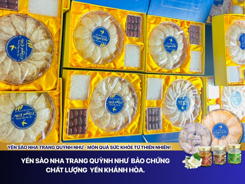 Yến sào Nha Trang Khánh Hòa Quỳnh Như