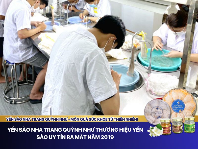 Thương hiệu yến sào Nha Trang Quỳnh Như 