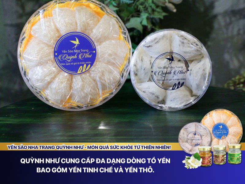 Dòng yến sào Quỳnh Như 