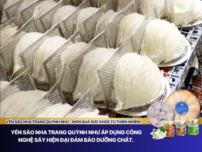 Công nghệ sấy yến 