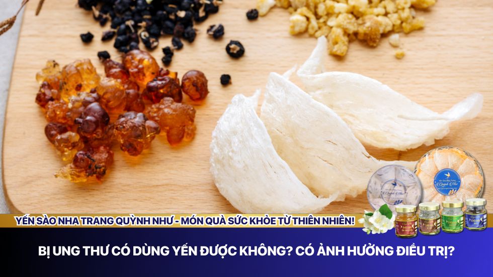 Bị ung thư có dùng yến được không