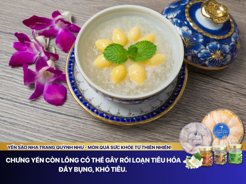 Nguy hại khi chưng yến còn lông 