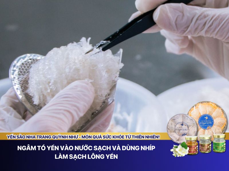 Mẹo làm sạch yến thô 