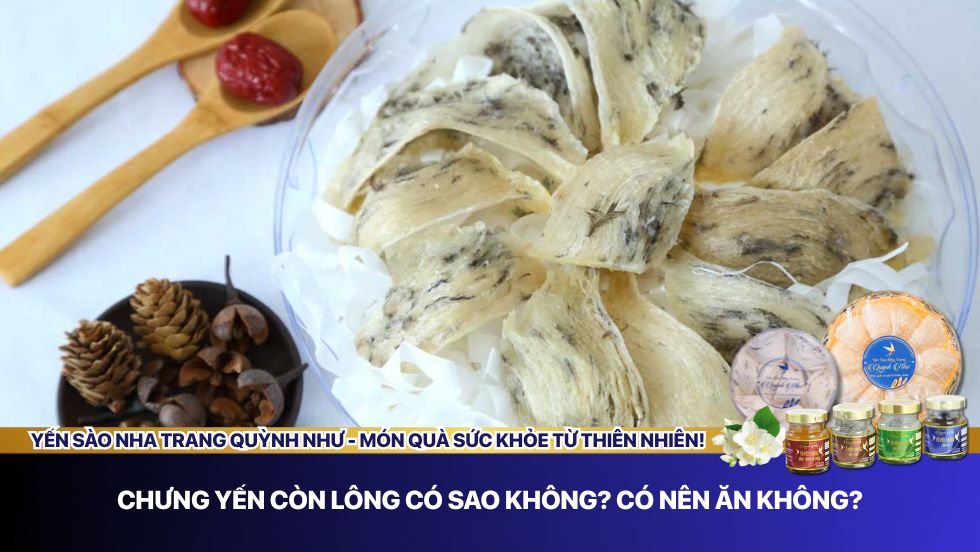 Chưng yến còn lông có sao không