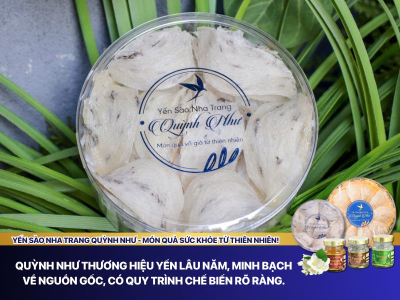 Yến thô Quỳnh Như 