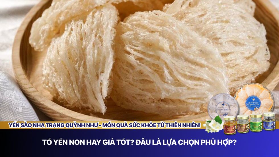 Tổ yến non hay già tốt