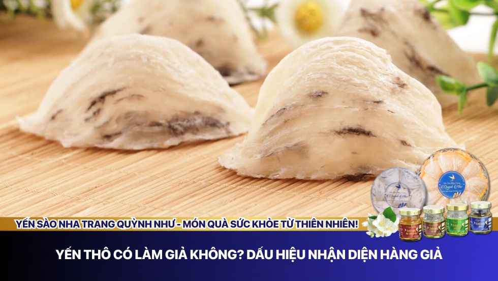 Yến thô có làm giả không