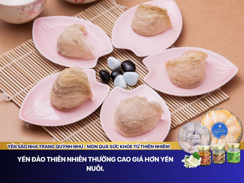 Mức giá các loại yến sào 