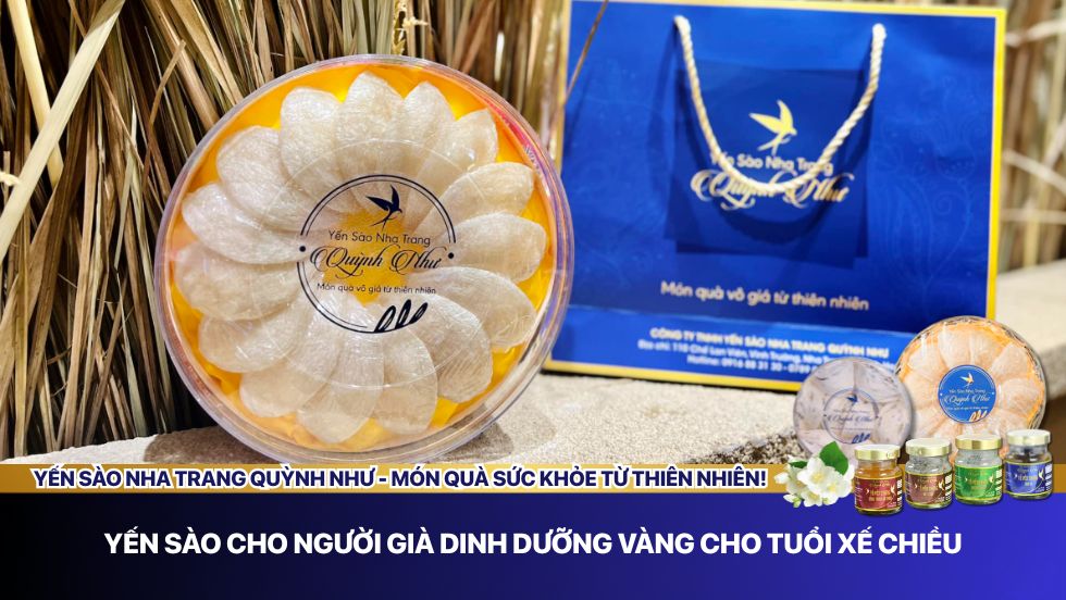 Yến sào cho người già