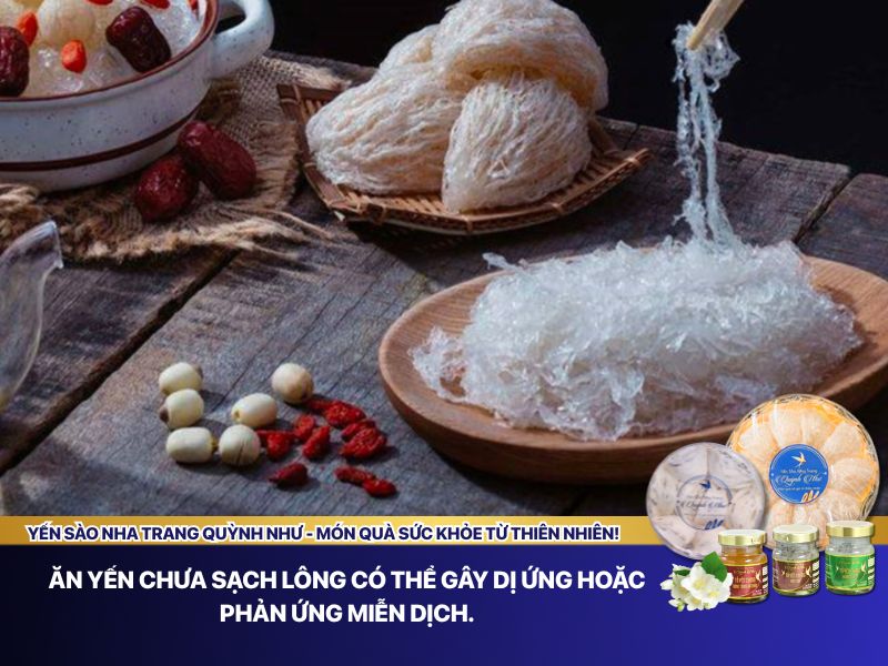 Ăn tổ yến còn lông có gây hại sức khỏe không