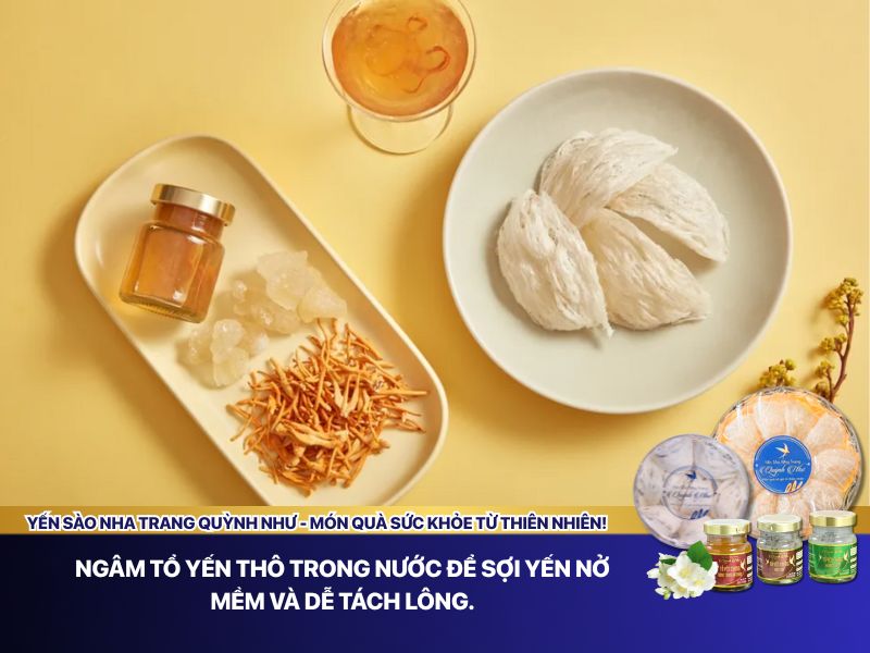 Ngâm tổ yến