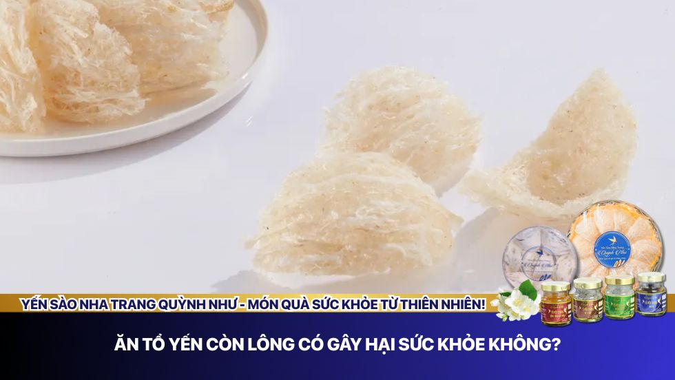 ăn tổ yến còn lông có gây hại sức khỏe không