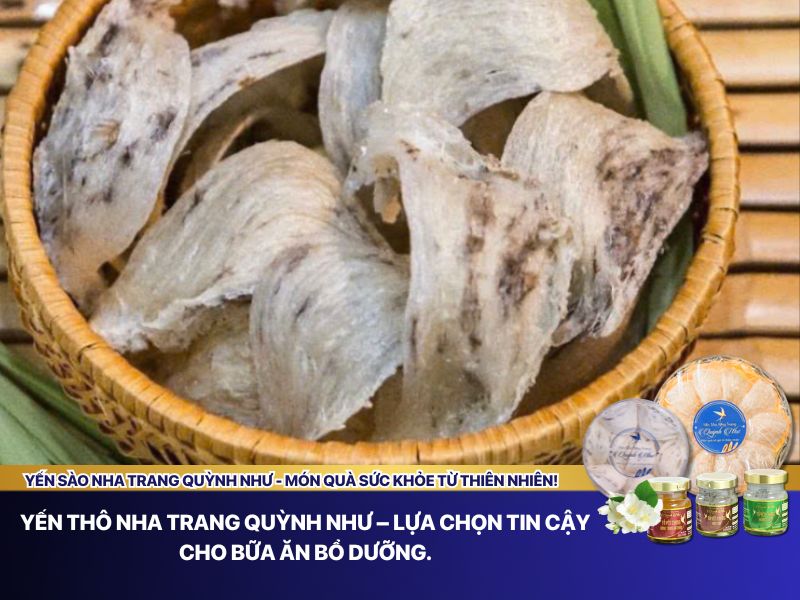 Yến sào Nha Trang Quỳnh Như – Lựa chọn tin cậy cho sức khỏe