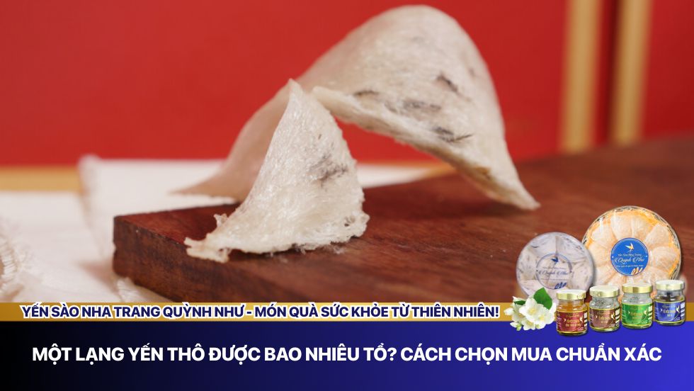 Một lạng yến thô được bao nhiêu tổ