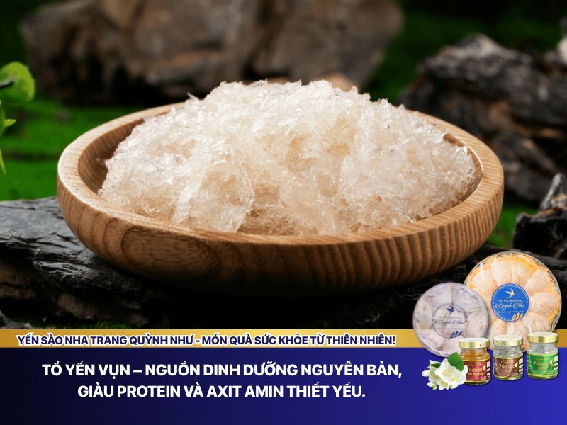 Tổ yến vụn là gì 