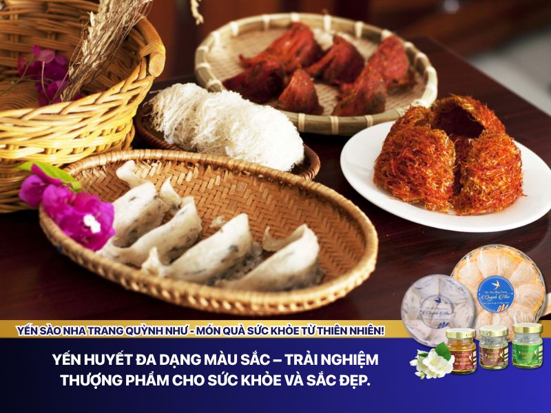 Yến huyết là gì 