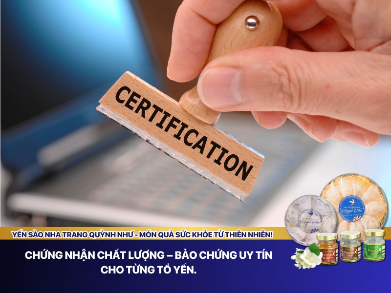 Vì sao cần kiểm tra giấy chứng nhận chất lượng khi mua yến sào