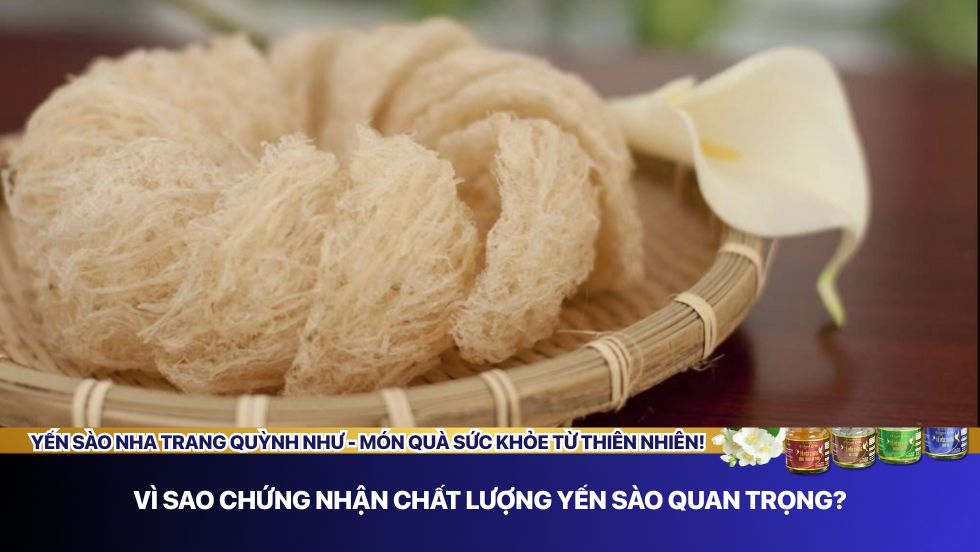 Chứng nhận chất lượng yến sào