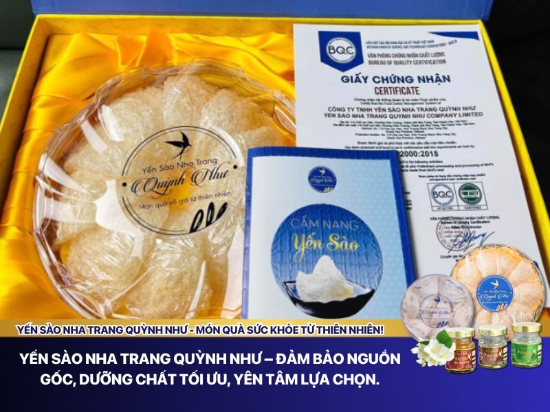 Yến tổ Quỳnh Như