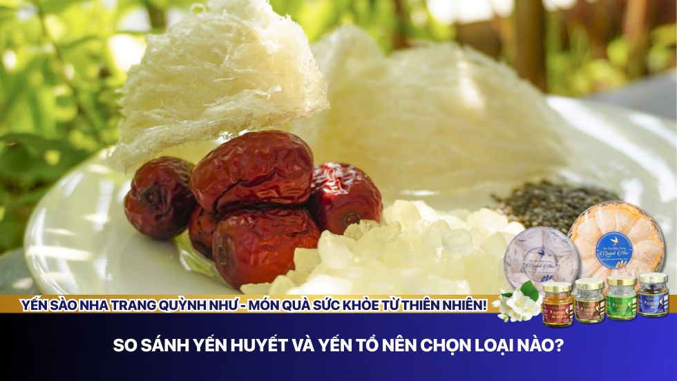 So sánh yến huyết và yến tổ