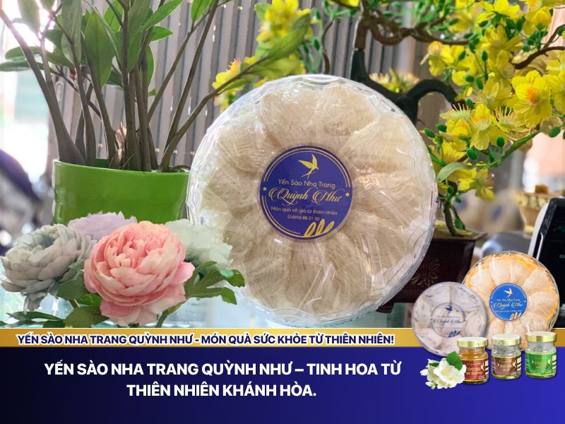 Mua yến tinh chế Quỳnh Như 