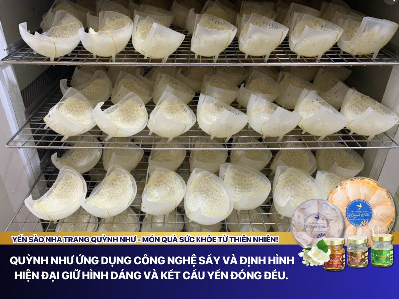 Công nghệ sấy yến 