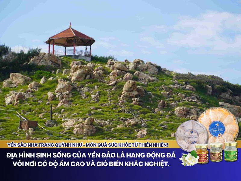 Địa hình sinh sống của yến đảo là hang động đá vôi nơi có độ ẩm cao và gió biển khắc nghiệt.