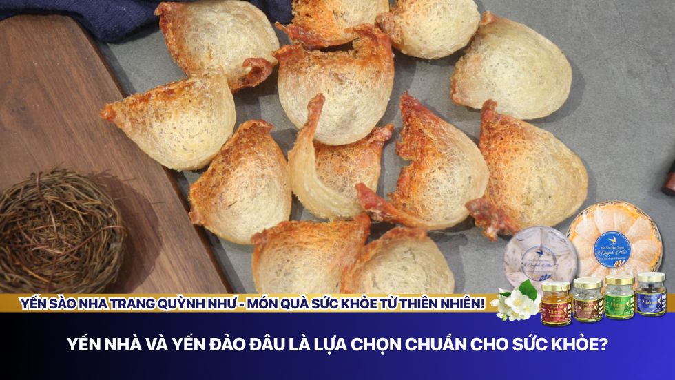 Yến nhà và yến đảo
