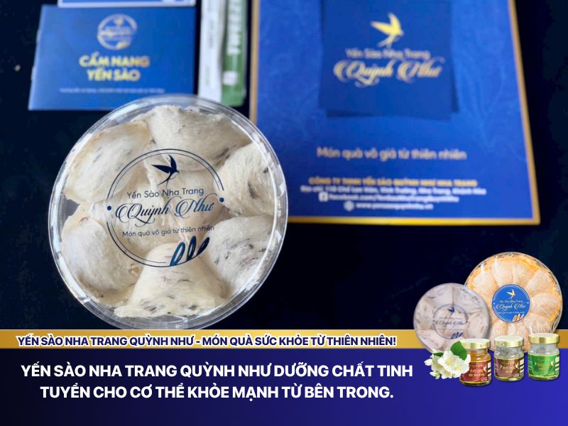 Yến sào Nha Trang Quỳnh Như dưỡng chất tinh tuyển cho cơ thể khỏe mạnh từ bên trong.